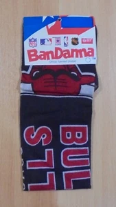 CHICAGO BULLS NBA ADVERTISIGN BLACK BANDANNA / BANNER - Picture 1 of 5