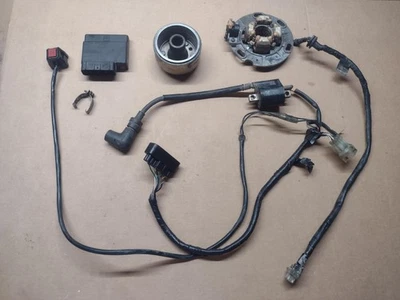 Yamaha YZ125 2002 estator de encendido volante bobina CDI arnés de cableado interruptor de apagado Foto 1 de 3