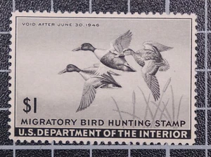 Scott RW12 - 1942 $1.00 Duck Stamp - MNH - PSE Cert Grade 95 - SCV - $475.00 - Bild 1 von 3