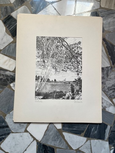 Foto 1 di 12
