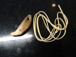 Reißzahn vom WOLF - ca. 26.000 Jahre, Unter-Wiszternitz - Steinzeit Schmuck - Bild 1 von 4