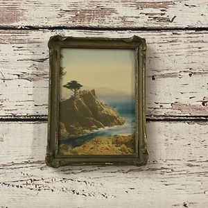 Antique Lone Cypress Monterey California Hand-Tinted Photo 1910 6x8 Rare! Art - Picture 1 of 8