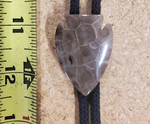 Arrow Head shaped Petoskey stone Bolo tie with Gold Tips - Picture 1 of 4