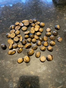 Lot of tiger eye, 88 grams - Picture 1 of 1