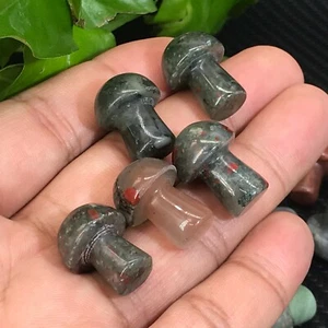 10 piezas Piedra de sangre africana natural hongo cuarzo cristal Reiki gema curativa - Imagen 1 de 10