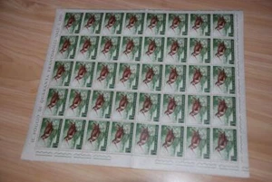 San Marino - Bird WOODCOCK - 1960 Sc 448 MNH Full Sheet of 40, FOLDED - Picture 1 of 2