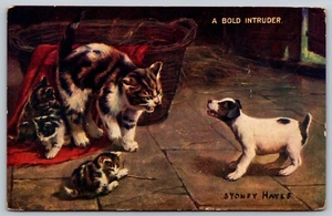 A BOLD INTRUDER SYDNEY HAYES SIGNED DOG AND CAT AND KITTENS Vintage POSTCARD - Picture 1 of 3