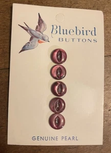 (10)Vintage Bluebird  Pearl Button Cards (5) 10.5mm Purple MOP buttons on each - Picture 1 of 2