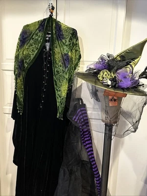 Pyramid Collection Witching Hour Velvet Dress Witch Costume Hat Shawl Jewelry M - Image 1 of 4