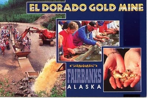 Fairbanks Alaska El Dorado Gold Mine Nuggets Sluice Mining Postcard - Picture 1 of 2