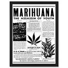 Werbung Drogenbewusstsein Warnung Marihuana Unkraut Cannabis Panik A4 gerahmter Kunstdruck