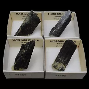 HORNBLENDA (Studsdalen, Kragero, Noruega) / Hornblende "ver disponibles" - Picture 1 of 7