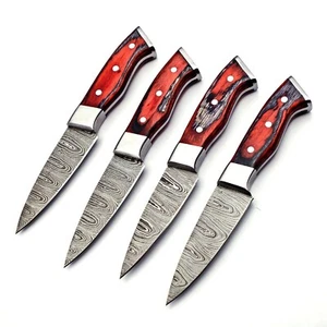 Handmade 4 Piece Steak Knife Set Damascus Steel 256 layers W/ Leather Bag Sharp - Picture 1 of 6