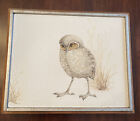 Vtg Midcentury Painting Ann Goetzman Oil Canvas Bird Baby Owl Burrowing Owlet