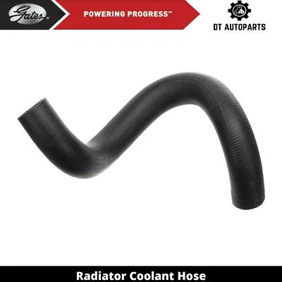 Manguera de refrigerante de radiador para Toyota Avalon 2013-2018 puertas inferiores 2014 2015 2016 Foto 1 de 3