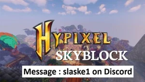 Hypixel Skyblock Coins| 100m = 9 euros|DE/ENG|Fast Delivery|
