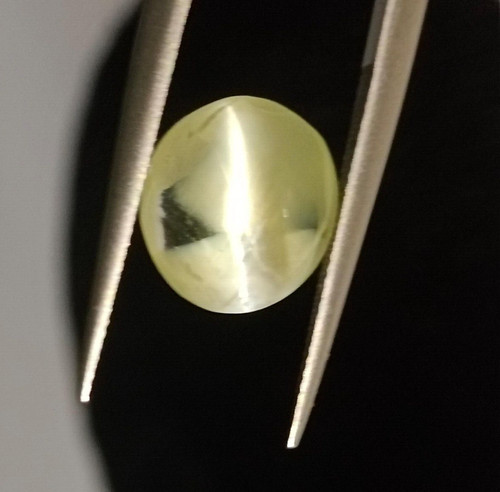Picture 1 of 21