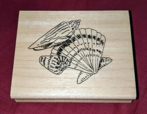 Seashells Sea Shells Clam Spiral Wood Mounted Rubber Stamp Beach Ocean Theme EUC - Bild 1 von 4