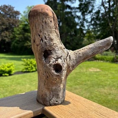 Hardwood Driftwood 11x5x9 – Solid Natural Wood for Reptiles, Decor, or DIY - Image 1 of 4