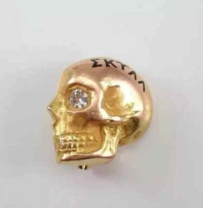 0,60 kt runder Moissanit kleiner Totenkopf Charm Brosche Anstecknadel 14 K Gelbgold plattiert - Bild 1 von 8