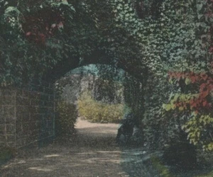 c1915s Ivy Arch Delaware Park Buffalo New York Postkarte D541 - Bild 1 von 3