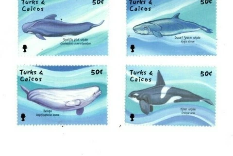 Turks and Caicos - 2002 - Whales - Set of Four - MNH Cover