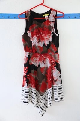 Yellow Star sleeveless red flower and striped dress size small - Image 1 of 3