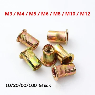 M3 M4 M5 - M12 Blindnietmuttern Verzinkte Nietmuttern Gewindeniete Einziehmutter - Bild 1 von 4