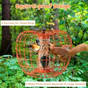 Squirrel-Proof Pumpkin Bird Feeder w/ Cage 4 Metal Ports 4 Perches Drainage Hole - Picture 1 of 6