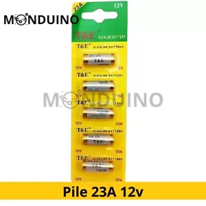 Lot 5 Pile Alcaline 23A MN21 A23 V23GA LRV08 L1028 LR23A E23 V23A - Imagen 1 de 3