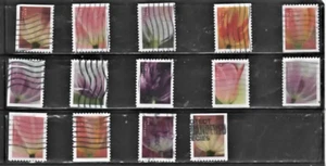 USA Stamp Used 14 Diff. Versions of 2023 Tulip Blossoms Forever Fine - Picture 1 of 1