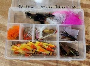25 - Mixed Lot Handmade Flies & Compartment Fly Box Fly Fishing - Picture 1 of 4