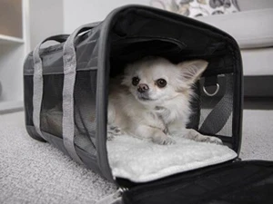 Sherpa Travel Original Deluxe Airline Approved Pet Carrier-small charcoal - Picture 1 of 6