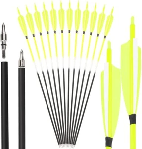 30" Carbon Arrow Archery SP500 4" 5" Turkey Feather Compoundbow Recurve Bow Hunt - Picture 1 of 18