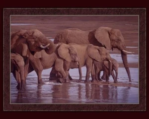 Riverbank Procession Elephants Panel Cotton Fabric - Picture 1 of 2