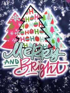 Southern Stitch Merry & Bright Plaid Sleeve Christmas Shirt XXL Navy Pink Raglan - Picture 1 of 11
