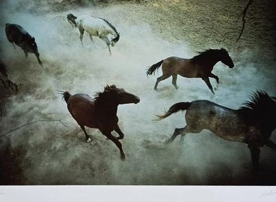 Foto artística de Robert Vavra estampida oriental firmada a mano caballo ecuestre 1980 #53 Foto 1 de 4