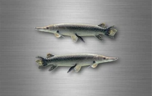 2x sticker vinyl fish boat kayak canoe fishing decal northern pike esox luclus - Bild 1 von 1