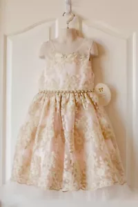NWT American Princess Special Ocassion Fancy Dress-Girls Size 8 - Picture 1 of 7