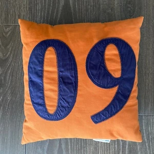 Rare POTTERY BARN KIDS PBK 06 60 14" Sports Throw Bed Pillow Boys Madras Plaid - Picture 1 of 4