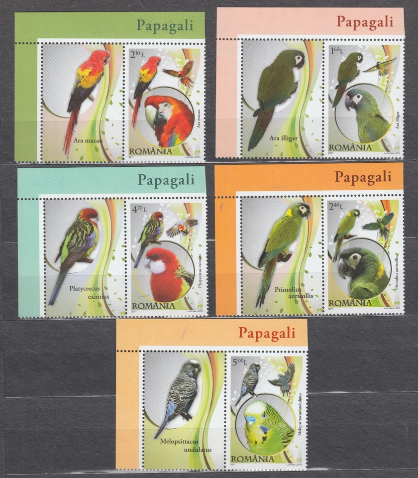SELLOS DE RUMANIA 2011 loro MNH OST aves loros pájaros parlantes etiquetas Foto 1 de 1