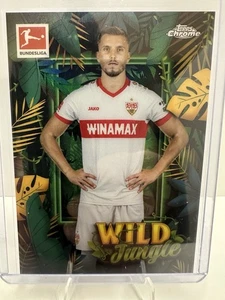2024-25 Topps Chrome Bundesliga Ermedin Demirovic Wild Jungle SP - Bild 1 von 7