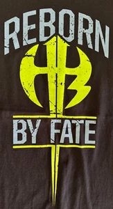 WWE Hardy Boyz T-Shirt Men’s L Navy Blue Pro Wrestling Jeff Matt Reborn By Fate - Picture 1 of 6