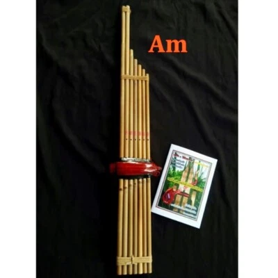 Órgão bucal de cana Laos Khaen instrumento musical de bambu órgão bucal Isan 7 teclas Am - Imagem 1 de 4
