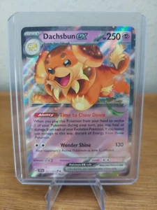 Pokemon TCG - Dachsbun ex 067/142 - Double Rare - Stellar Crown - NM/M - Picture 1 of 3