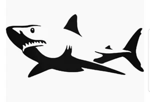 GREAT WHITE SHARK Vinyl Decal -Sticker for Car Truck Bumper Wall Window Laptop  - Foto 1 di 2