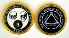 Alcoholics Anonymous 3 Yr. Skulls and Bones Rope Edge Sobriety Coin Chip 1 3/4"