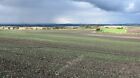 Photo 6X4 Emerging Oil Seed Rape Crop Ancroft Northmoor A Field At Allerd C2011