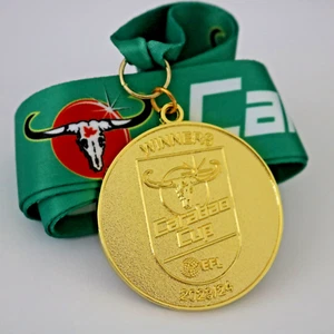 2023-2024 EFL League Cup Winners Medal - Liverpool - Picture 1 of 2
