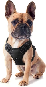 Verstellbares Anti-Zug Hundegeschirr für kleine und mittelgroße Hunde, Schwarz S - Bild 1 von 12